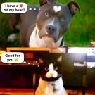 FB_IMG_1736705290266.jpg