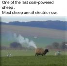 FB_IMG_1737527560439.jpg