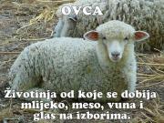 FB_IMG_1737907115992.jpg