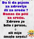 IMG-bfc10d7b03a5d120d342fd74954decfe-V.jpg