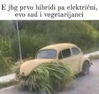 FB_IMG_1738409435794.jpg