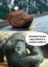 FB_IMG_1738492147811.jpg
