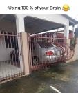 FB_IMG_1738660717211.jpg