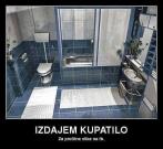 IMG_3981.jpeg