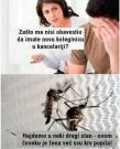 IMG-9a8a99b18c3ed6d2a38e8a46fcc5e6b3-V.jpg