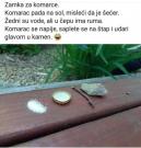 FB_IMG_1749469458027.jpg