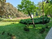 IMG_20250614_105642.jpg