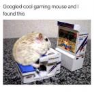FB_IMG_1755704025008.jpg