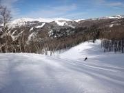 IMG_20260225_134602.jpg