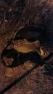 IMG_20260305_225208.jpg