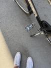 IMG_0443.thumb.jpeg.4adb6b2eee1df50ba5c12ccb980f0dfd.jpeg