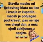 str.jpg