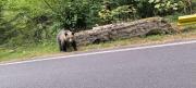 IMG_20260903_183538.jpg